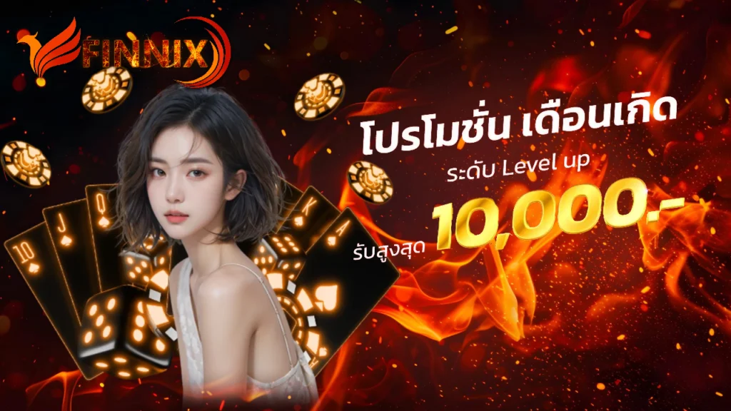 โปรโมชั่น Finnix